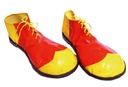 Clown schoenen